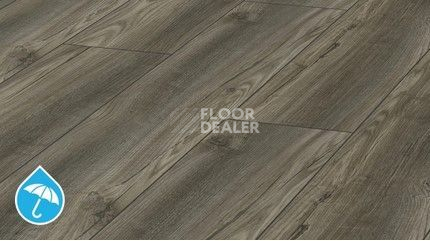 Ламинат Kronotex Robusto 12мм d4610 Дуб Порт Титан фото 1 | FLOORDEALER